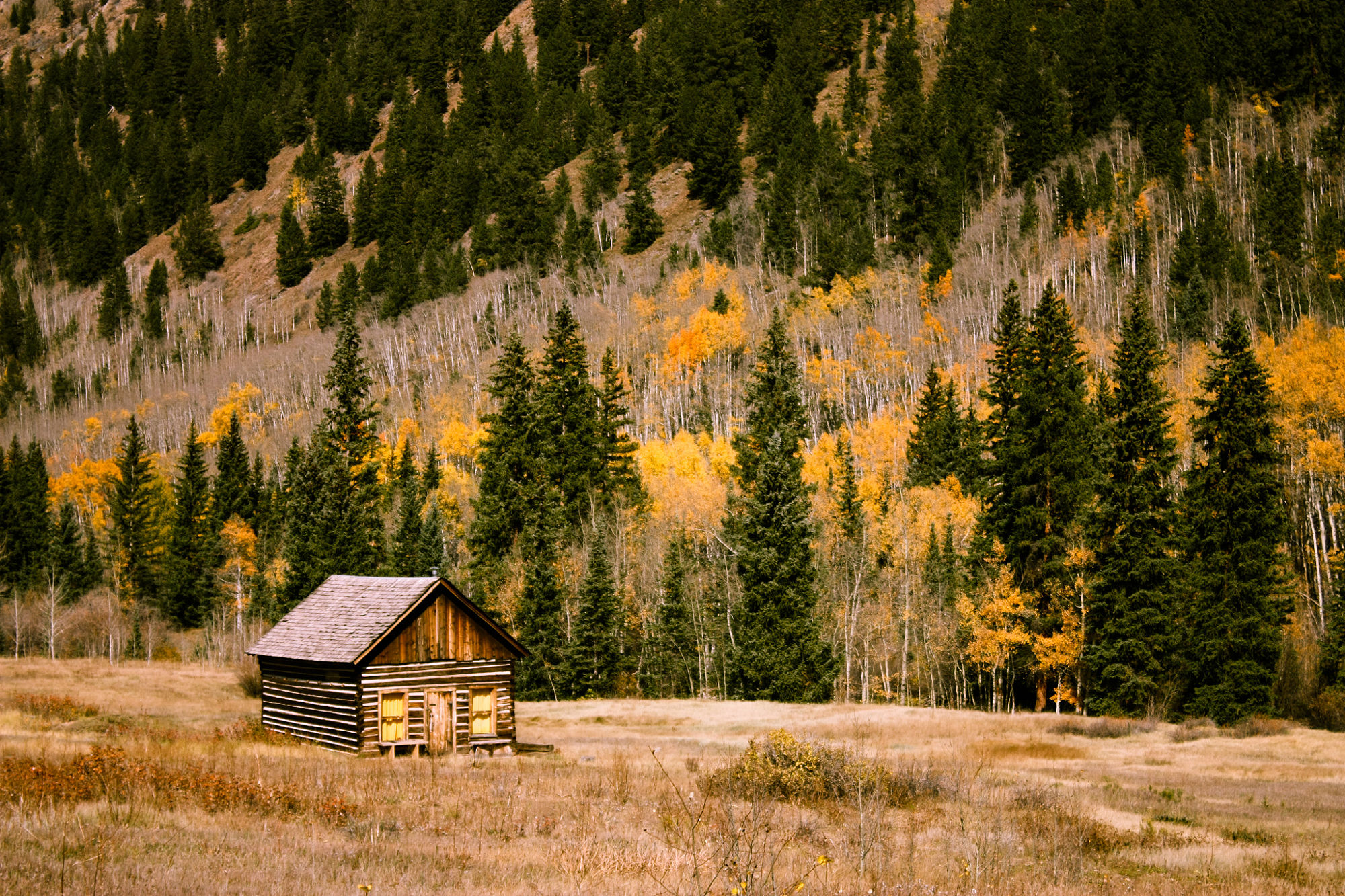 13 Rocky Mountain Cabin Rentals